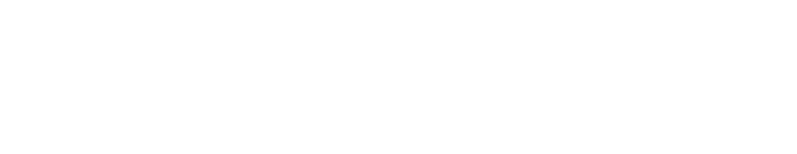 NIZTECH Logo